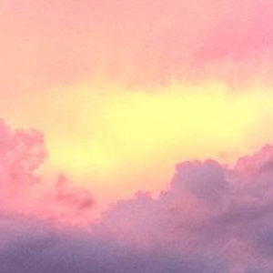 Meet your Posher, Lexi